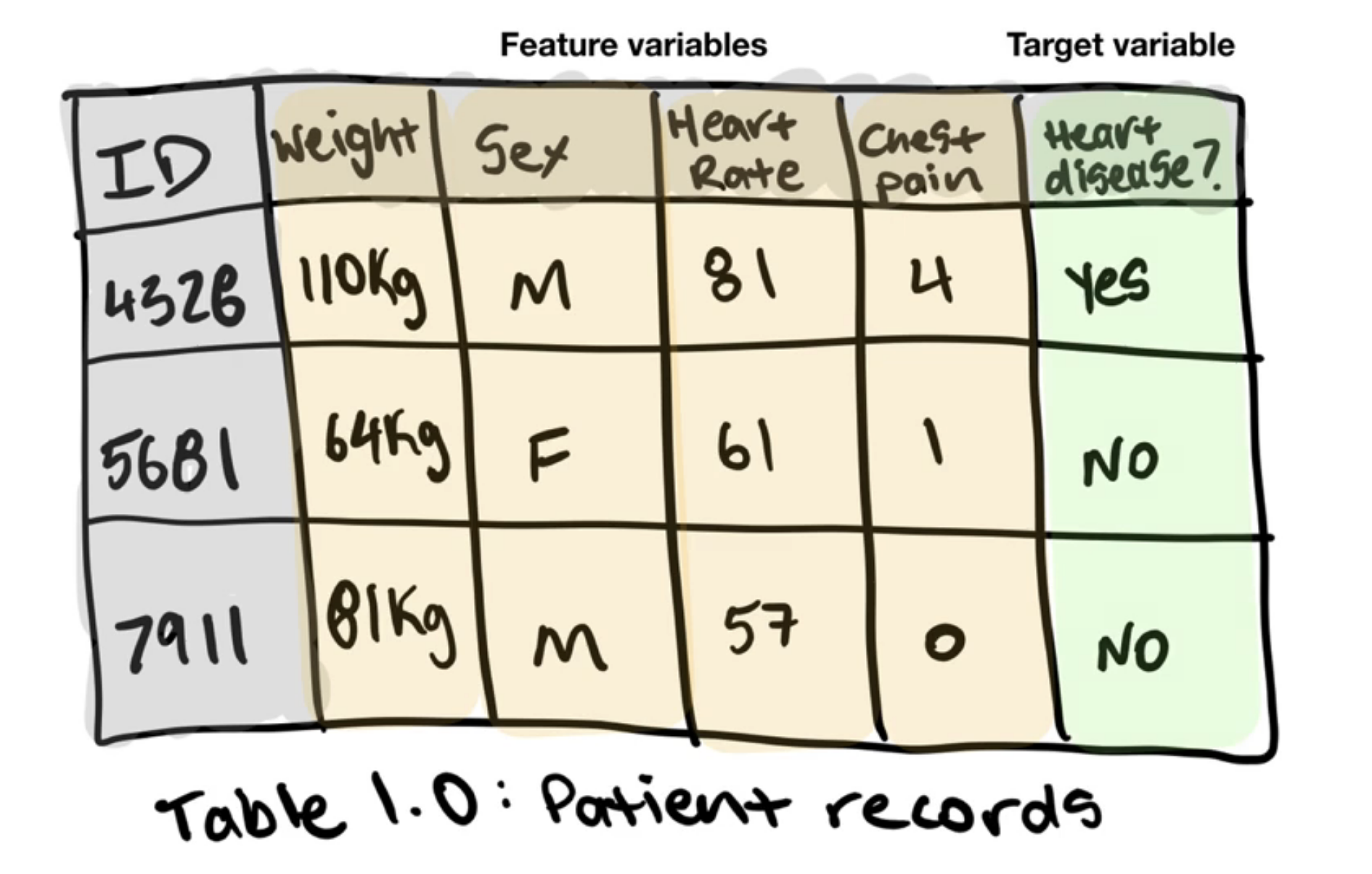 features.png