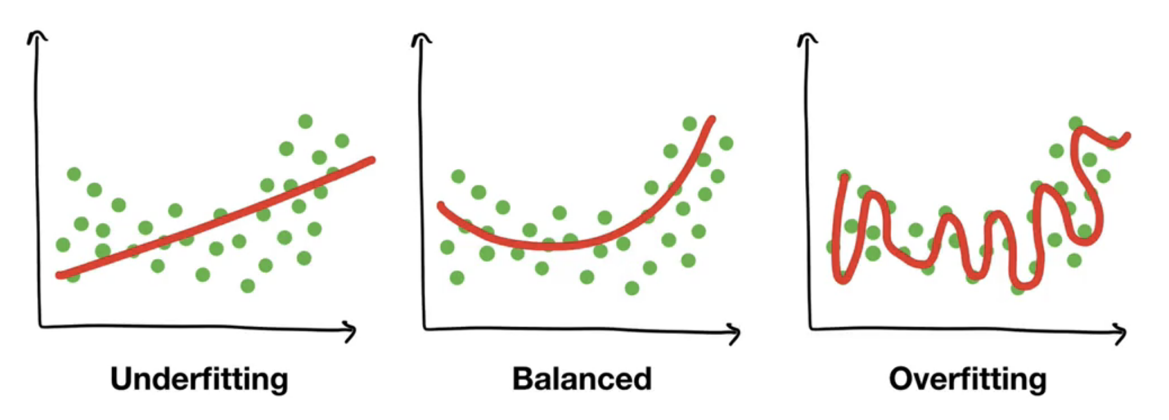 model_fitting_graph.png
