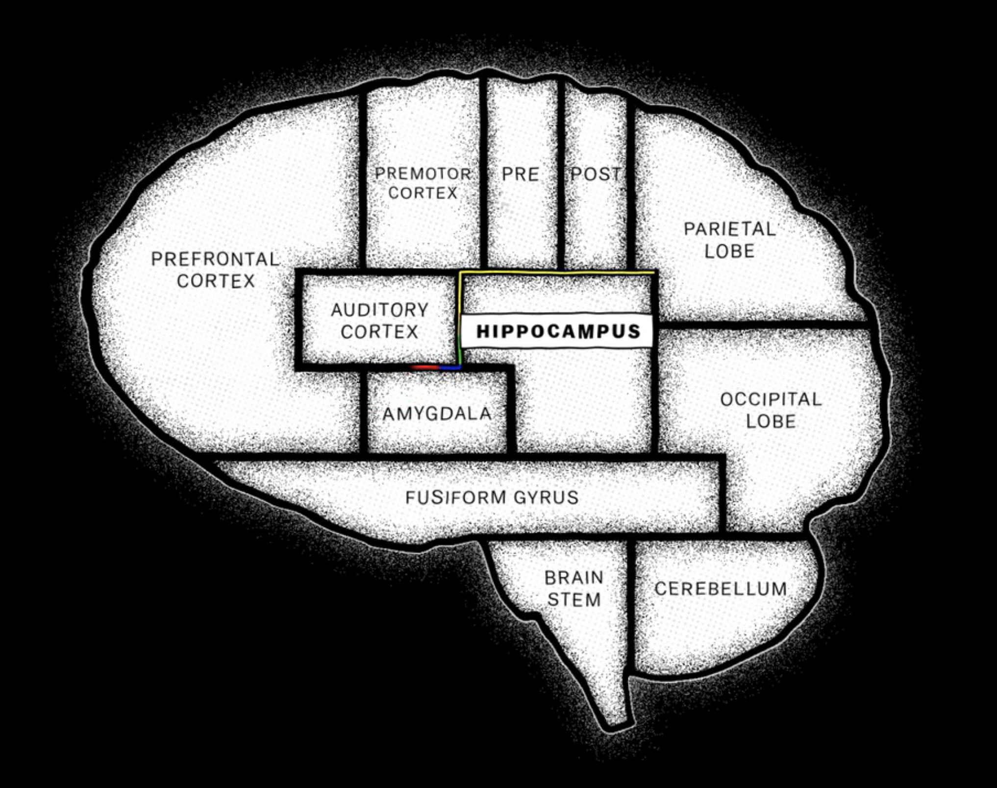 brain_momories_parts.png
